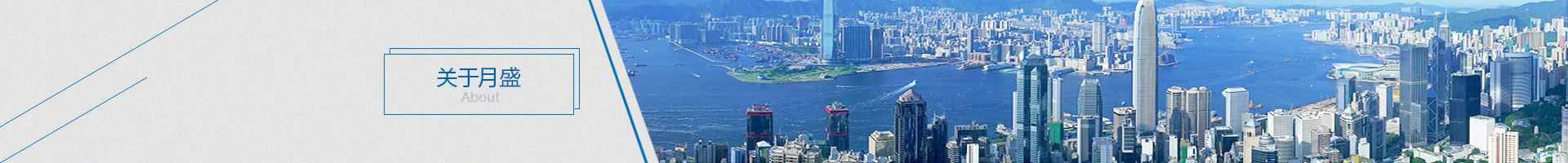 榮譽資質(zhì)